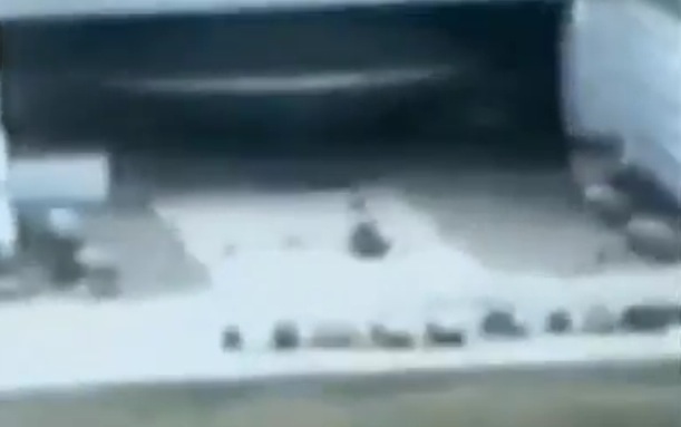 image.jpg