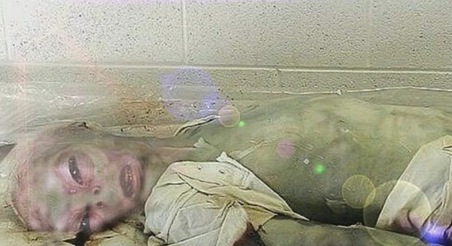 image.jpg