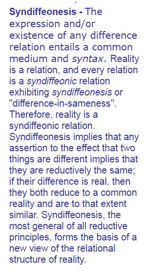 SYN.JPG