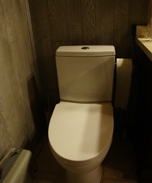 toilet.jpg