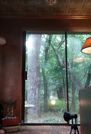 view.jpg