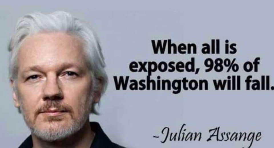 When all is exposed, 98% of Washington will fall, Julian Assange.jpeg